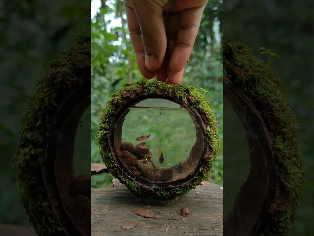 Waste coconut shell craft ideas #shorts #craft #diy #ideas #bestoutofwaste #ecofriendly
