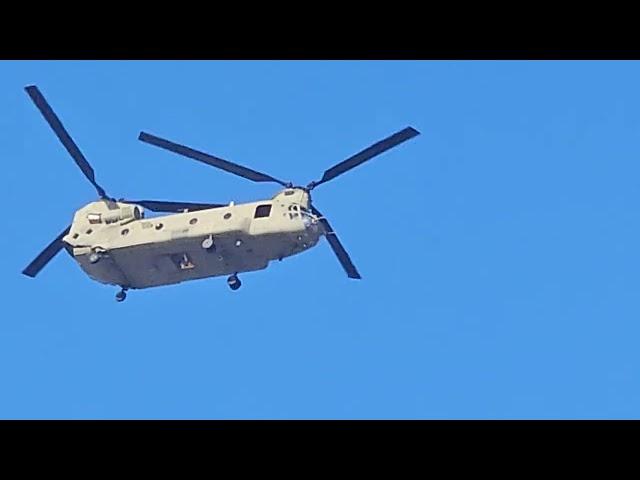 4 helicopters over venice beach November 10, 2024