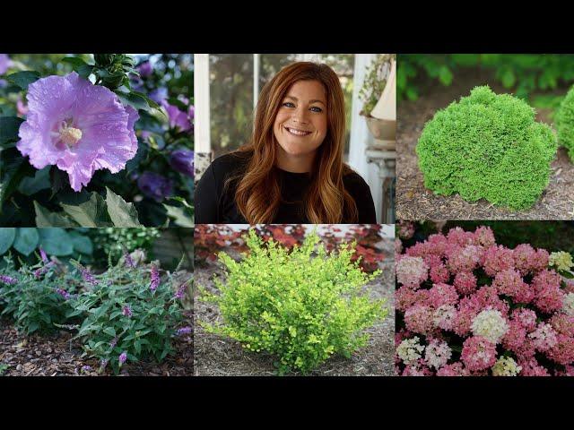 10 Small Shrubs that Will Fit In Any Garden!  // Garden Answer