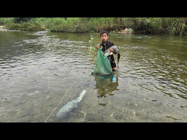 Fishing skills, fishing with earthworms, highland boy catches catfish to sell