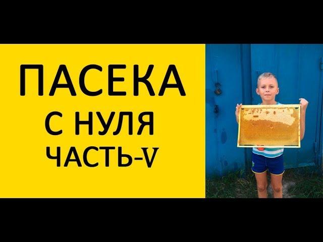 Пасека с нуля Часть 5. Первый мёд. Взяток оборвался. An apiary from scratch The first honey. УлейИн