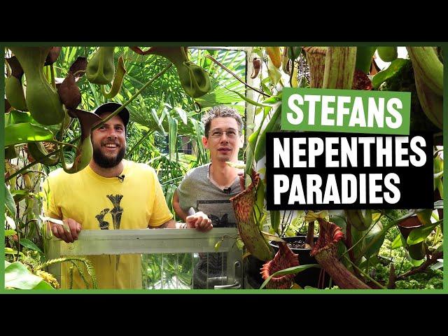 #146 Zu Besuch in Stefans botanischem Garten