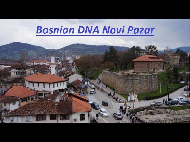 Bosnian DNA Novi Pazar Serbia Haplogroup  I2a I-M423