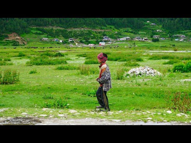 Discovering Nepal's Secrets: Living in Perfect Balance with Nature | Beautiful Village Life in Nepal