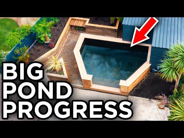 My Backyard Koi Pond Is Nearly Finished! (pt 2)