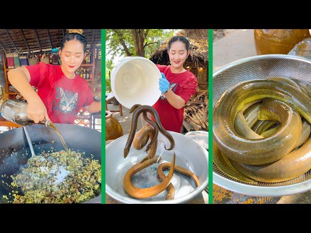 BIG EEL yummy cooking, EEL recipe in our village | Cooking with Sros