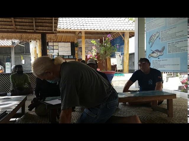 Saba Asri Sea Turtle Conservation