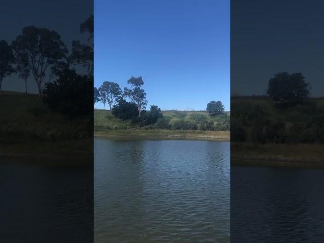 Brisbane River swimming