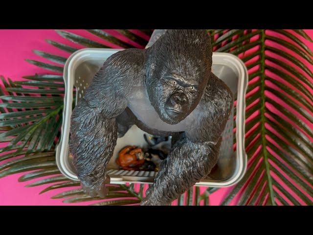 12 Primates including noises | animal noises | the darling toy house | monkey | ape | marmoset |