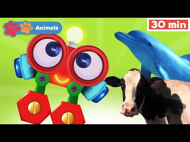 Toddlers Learn Animals with Robi | Educational Early Learning Videos | Animals Names & Sounds