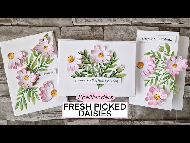 Fresh Picked Daisies - Spellbinders