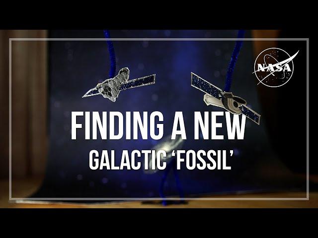 Finding a New Galactic “Fossil”