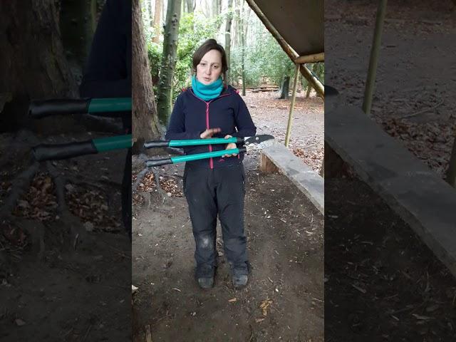 Loppers Forest School Tool Talk