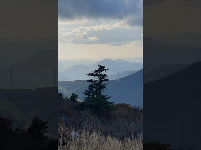 우리나라에서 여섯번째 높은산인데, 30분 산보하면 만나는 정상뷰. 함백산
