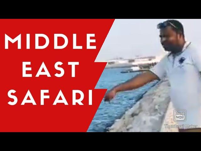 Bahrain sea travel /fishing/Bahrain-pearl on the persian gulf 4k