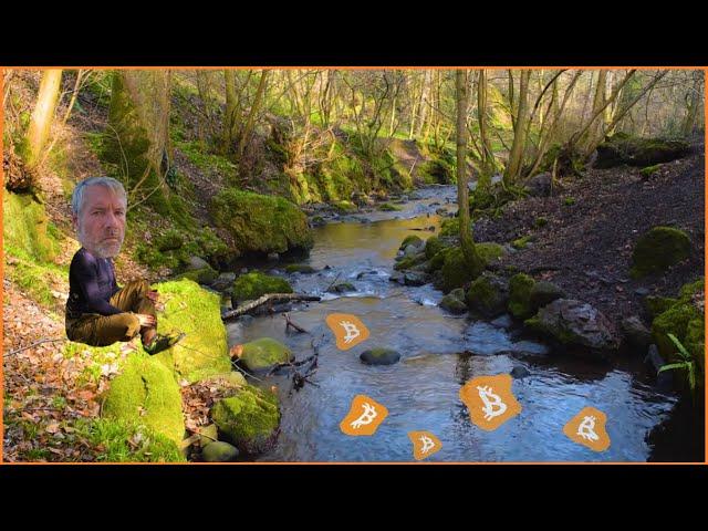 SaylorFlow - 10 Hours of Relaxing Michael Saylor speaking about Bitcoin