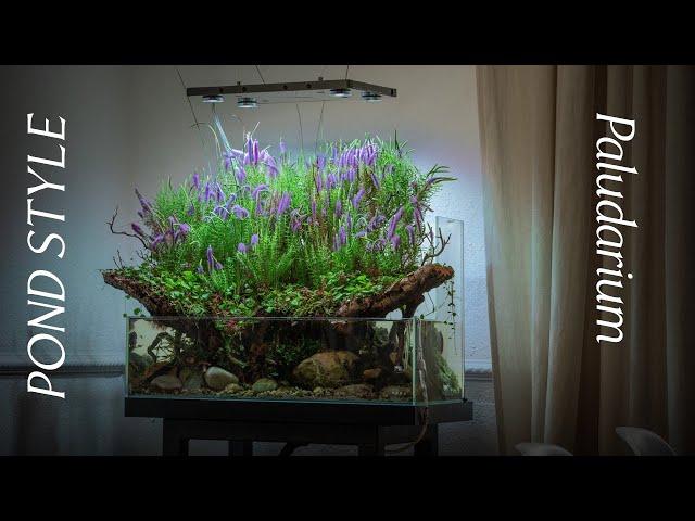 Building a Pond Style Paludarium - Step by Step - Tutorial - The World of Green