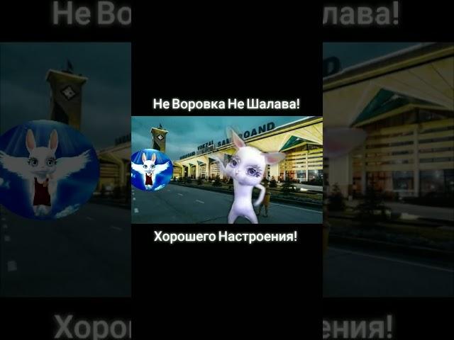 Не воровка, не шалава  (1 ЧАСТЬ) #bannyhit