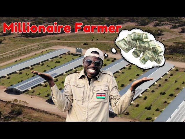 How To Become Millionaire Chicken Farmer EASILY