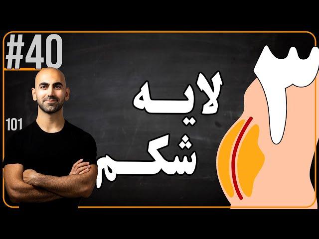 #40 - کاهش سایز شکم