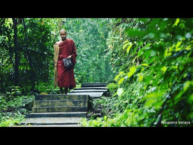 Loka Sutta|01|Most Ven Dhammajiva Maha Thero|2024-07-25