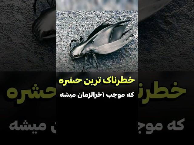 این حشره ترسناک باعث پایان جهان میشه | دنیای فیلم