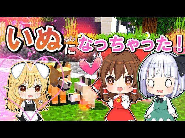 【マイクラ】魔理沙が子犬にされちゃった！【ゆっくり実況】【マインクラフト】【まいくら】