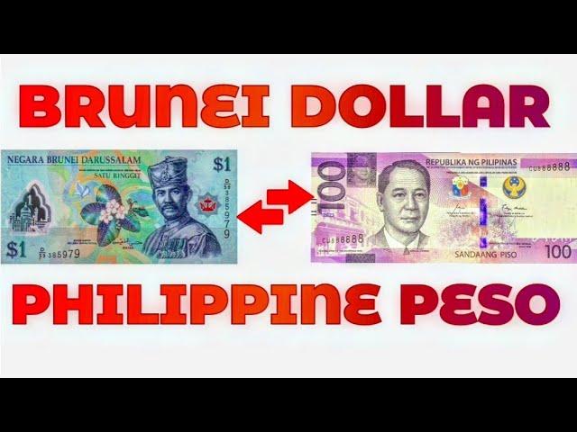 Brunei Dollar To Philippine Peso Exchange Rate Today | BND To PHP | Brunei Currency To Peso