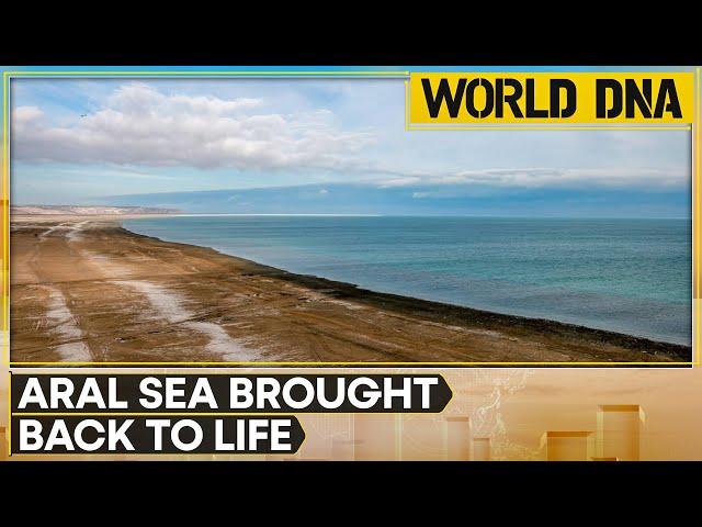 Kazakhstan: 'Once Severely Damaged' Part Of Aral Sea Has Nearly Doubled In Volume | World DNA | WION