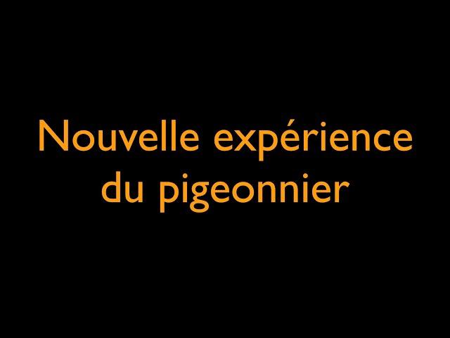 Nouvelle expérience du pigeonnier