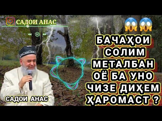 БАЧАҲОИ СОЛИМ МЕТАЛБАН ИН ҲАРОМАСТ ? ҲОҶИ МИРЗО