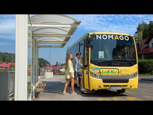 Free public transport in Europe: Is the social experiment working or is it just a gimmick?