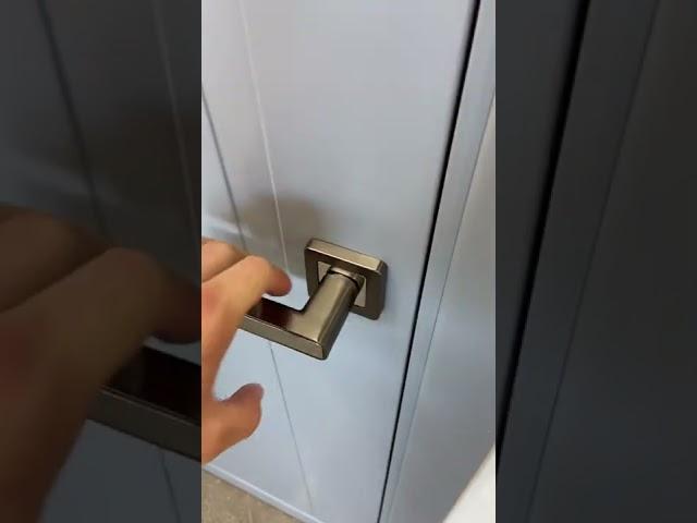 Межкомнатная дверь Эмаль Графит Сакраменто