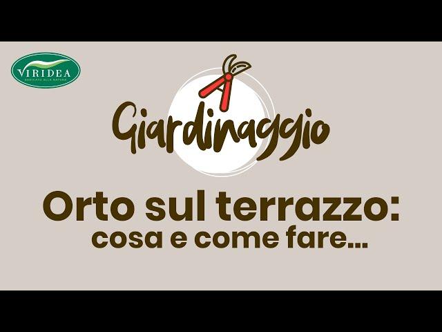 ORTO SUL TERRAZZO: COSA E COME FARE...