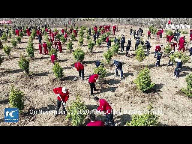 A glimpse of ecological park in China's Daqing Oilfield