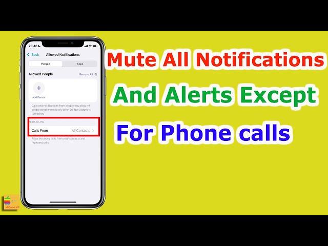 How to MUTE Vibrations, Notification Sounds and Alerts For All Apps Except For PHONE CALLS iPHONE