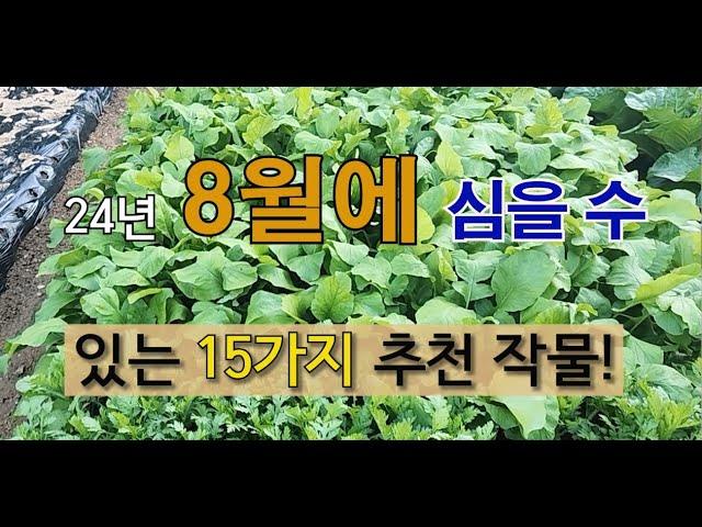 24년 8월에 심을 수 있는 15가지 추천 작물! #주말 농장 #텃밭 가꾸기 #8월에 심는 작물.