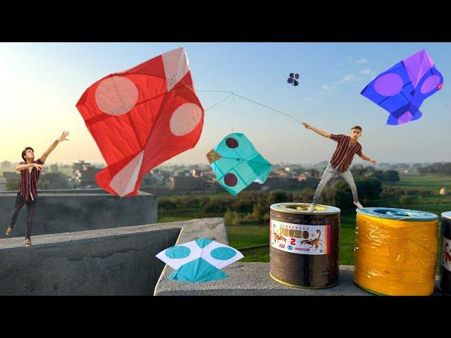 New Trick To Catch 2 Kite With Tree | Basant Lahore