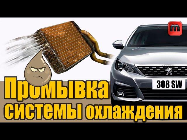 Peugeot 308 T9. 1.6 HDI. Промывка системы лимонной кислотой