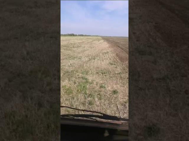 КОЛЬЦЕВАЯ БОРОНА БРКОНА ОТЛИЧНО ВЫРАВНИВАЕТ ПОЛЯ! / ГК "Алтайсельмаш