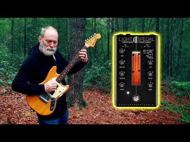 The Reverb Pedal that Lit up the Forest