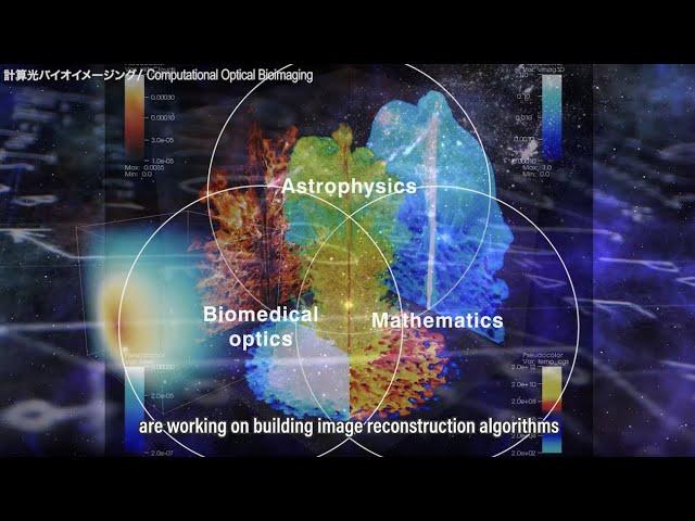 Computational Optical Bioimaging | CCS, Univ. Tsukuba