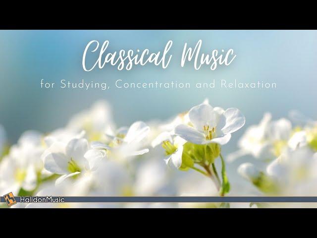 6 Hours Classical Music for Studying, Concentration, Relaxation