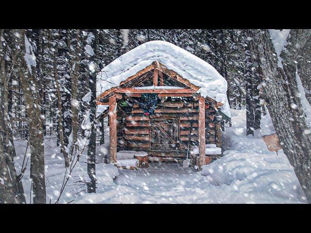 ЗАНОЧЕВАЛ в СТАРОЙ МЫШИНОЙ ИЗБЕ с РЫЖИМ ЗВЕРЕМ | НАХОДКА в ЛЕСУ - ТАЙГА ШУМИТ