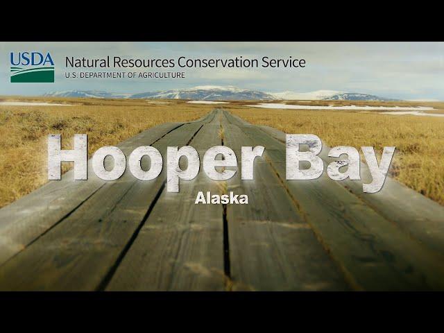 Protecting habitat and subsistence in Hooper Bay, Alaska