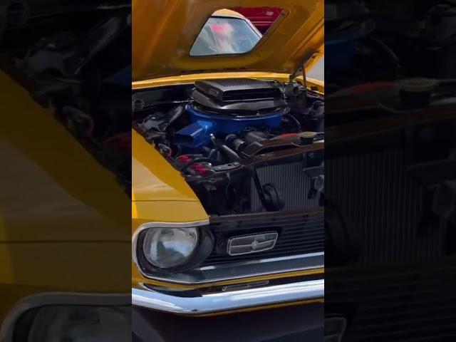 Beautiful 1970 Ford Mustang Mach 1 - 351 V8