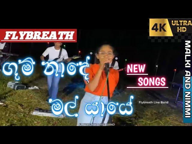 Flybreath music band New songs ( ගුම් නාදේ ) new Sinhala songs Malki and Nimmi #public #music