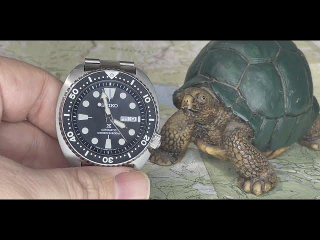 The Abyss Seiko Turtle Review James Cameron obviously approved of this watch do I?