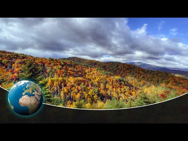 Great Smoky Mountains - Staggering Biodiversity in America's most visited National Park