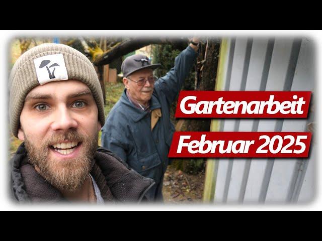 Gardening February | Pruning grape vines, figs and peaches, nesting boxes, small raised bed harvest